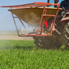Czerwony traktor z rozsiewaczem wapna posodowego na zielonym polu.