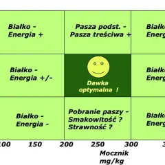 Tabela przedstawia przykładowe dawki pokarmowe dla krów mlecznych, uwzględniając białko, energię i mocznik.