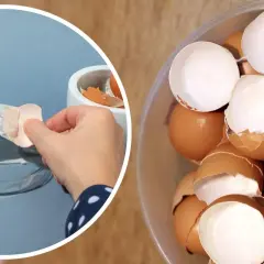 Ręce rozdrabniają słabe skorupki jajek na talerzyku. Obok miska pełna skorupek.
