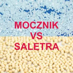 Granulki nawozów: jasnoniebieski mocznik i żółta saletra. Porównanie dwóch popularnych nawozów dla roślin.