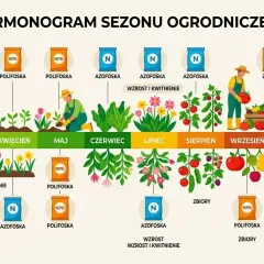 Harmonogram sezonu ogrodniczego z planem nawozowym: od siewu w marcu po przygotowanie do zimy w październiku, z zastosowaniem nawozów Azofoska i Polifoska.
