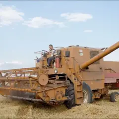 Kombajn Bizon Z056 w akcji, pokazujący swoją wydajność podczas żniw. Kierowca steruje maszyną na polu.