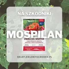 Mospilan oprysk śliwy i innych roślin. Zwalcza mszyce, gąsienice i inne szkodniki. Skuteczny na warzywa, owoce i rośliny ozdobne.