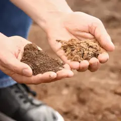 Dłonie trzymają dwie próbki ziemi. Jedna to ciemna, wilgotna gleba ilasta, druga to jaśniejszy, sypki piasek.