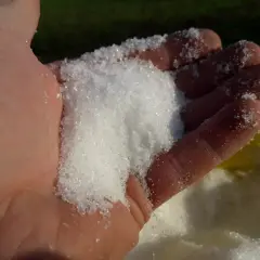 Biały, krystaliczny proszek w dłoni. To siarczan magnezu, który warto stosować, gdy rośliny potrzebują magnezu.