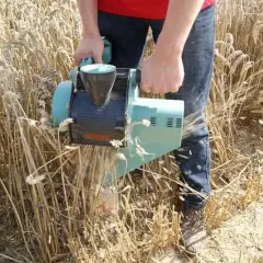 Osoba trzyma najmniejszy kombajn zbożowy, który oddziela ziarno od kłosa w polu.