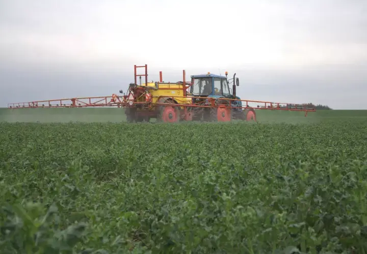 Traktor z opryskiwaczem wykonuje dokarmianie dolistne rzepaku na zielonym polu.