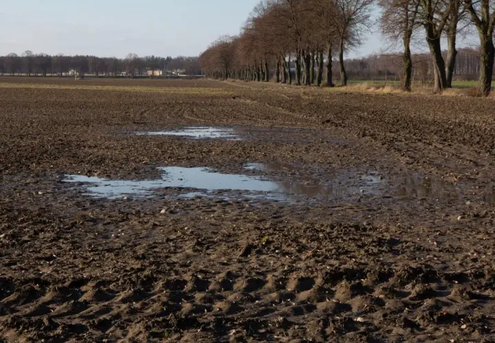 Błotniste pole po orce, z kałużami i śladami opon. W oddali widać rząd drzew i zabudowania. Podeszwa płużna świadczy o niedawnych pracach polowych.