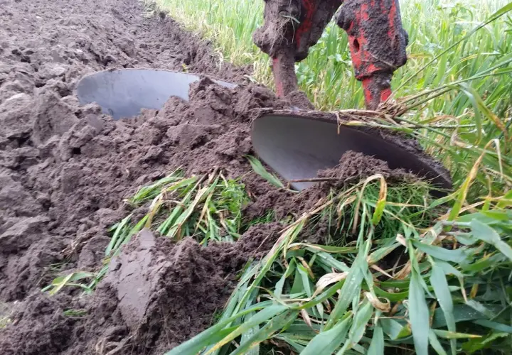 Pług odwraca ziemię, pokazując, jak ustawić przedpłużki w pługu, by orka była efektywna.