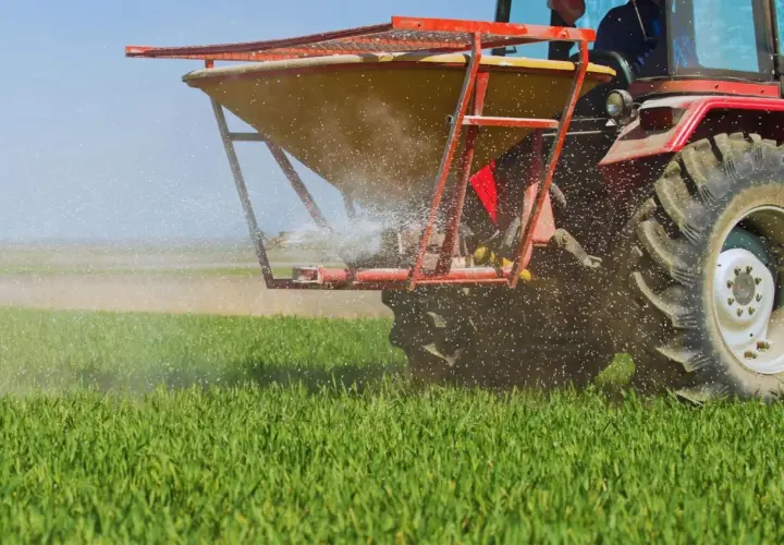 Czerwony traktor z rozsiewaczem wapna posodowego na zielonym polu.