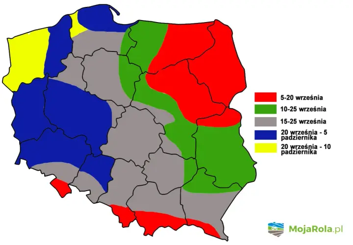 Mapa Polski z terminami siewu pszenicy ozimej. Różne kolory oznaczają terminy od 5 września do 10 października.