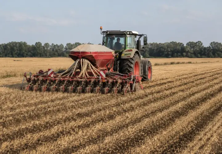 Traktor z siewnikiem pracuje na polu, siejąc rzepak. Maszyna rozsiewa nasiona, przygotowując pole do przyszłych zbiorów.