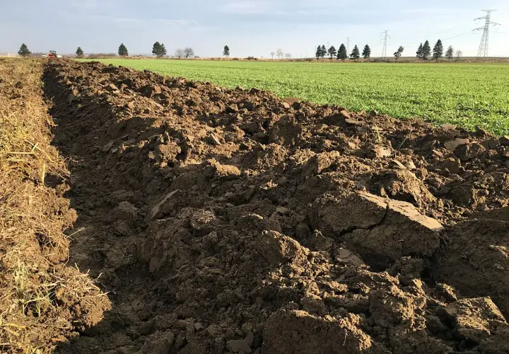 Orne, świeżo zaorane pole z widocznymi resztkami pożniwnymi i zielonymi oziminami w tle. Traktor w oddali.