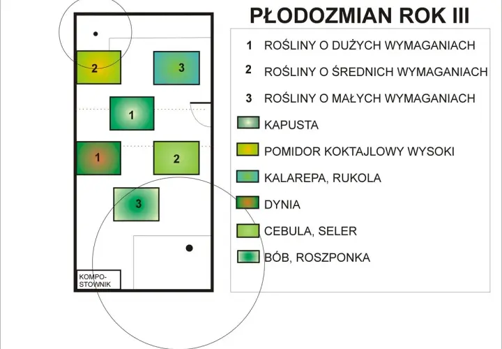 Schemat płodozmianu na rok III: pola z roślinami o dużych (1), średnich (2) i małych (3) wymaganiach, w tym kapusta, pomidor, dynia.