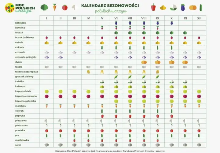 Kalendarz kiedy siać warzywa na rozsadę. Pokazuje optymalne miesiące dla każdego warzywa, od bakłażana po selera.