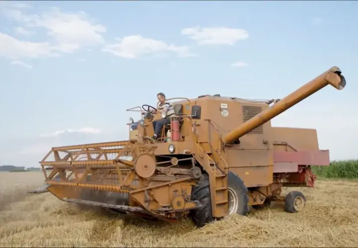Kombajn Bizon Z056 w akcji, pokazujący swoją wydajność podczas żniw. Kierowca steruje maszyną na polu.