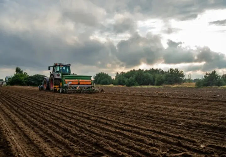 Traktor z siewnikiem pracuje na polu, kiedy sieje się rzepak. W tle silosy i las.