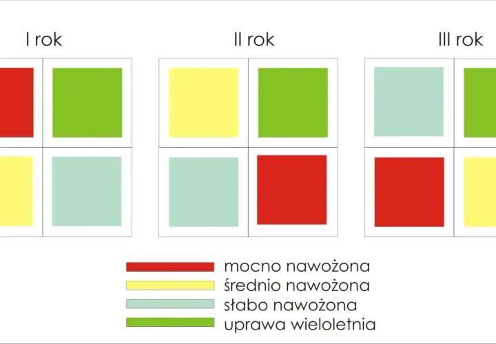 Płodozmian zbożowy-tabela: schemat zmian nawożenia i upraw przez 3 lata. Kolory oznaczają: mocno nawożona, średnio, słabo, uprawa wieloletnia.