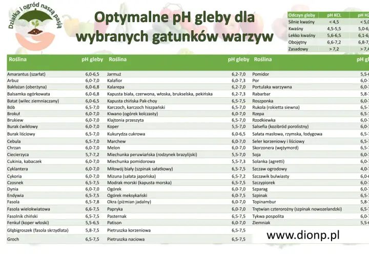 Tabela pH gleby dla zbóż i warzyw. Znajdziesz tu optymalne pH gleby dla wielu gatunków roślin, np. pomidora, cebuli czy grochu.