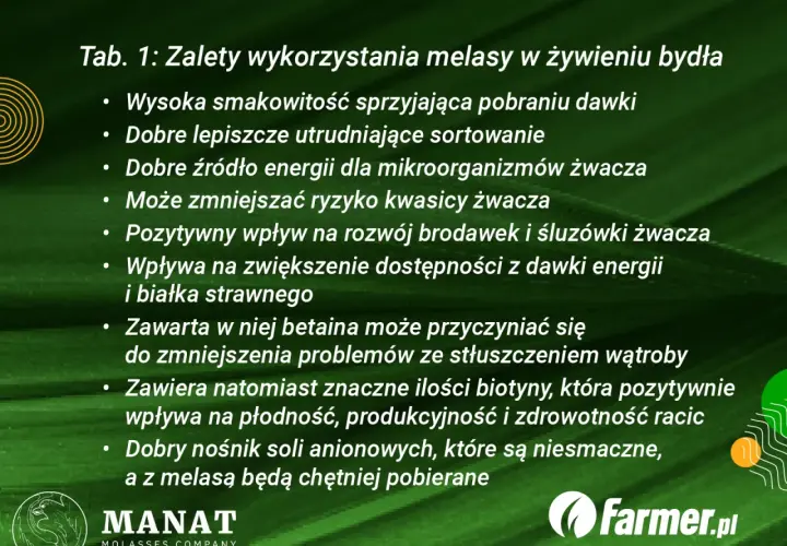 Zalety melasy dla bydła: poprawia smakowitość paszy, jest źródłem energii, wspiera zdrowie żwacza i wątroby.