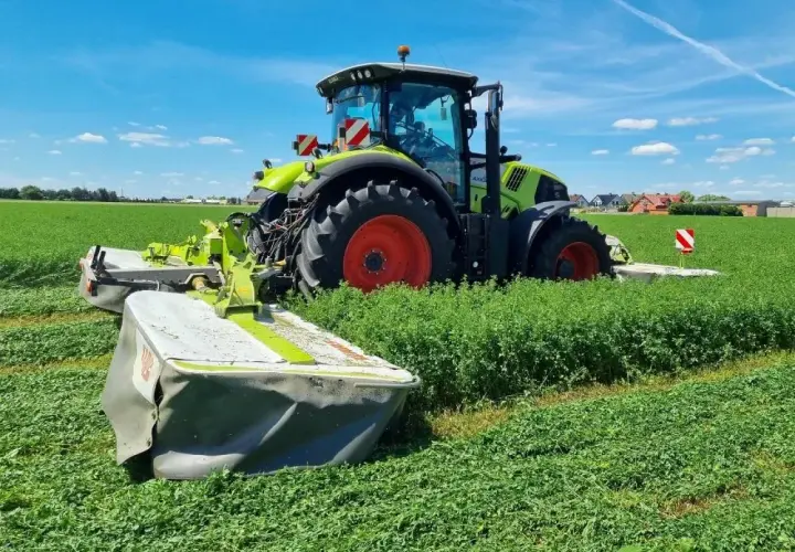 Traktor z kosiarką pracuje na polu lucerny. Rolnik zastanawia się, ile nasion lucerny na hektar będzie potrzebne do zasiewu.