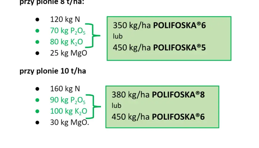 Zalecenia nawożenia pszenicy: przy plonie 8 t/ha potrzebne jest 70 kg P₂O₅, a przy 10 t/ha 90 kg P₂O₅.