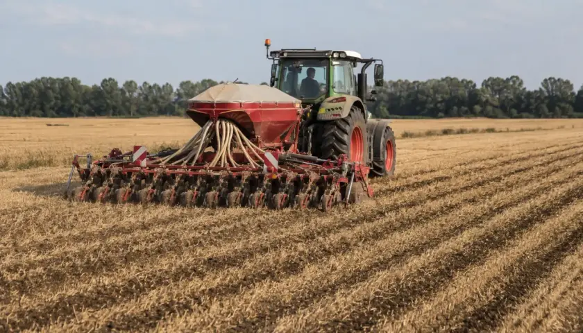 Traktor z siewnikiem pracuje na polu, siejąc rzepak. Maszyna rozsiewa nasiona, przygotowując pole do przyszłych zbiorów.
