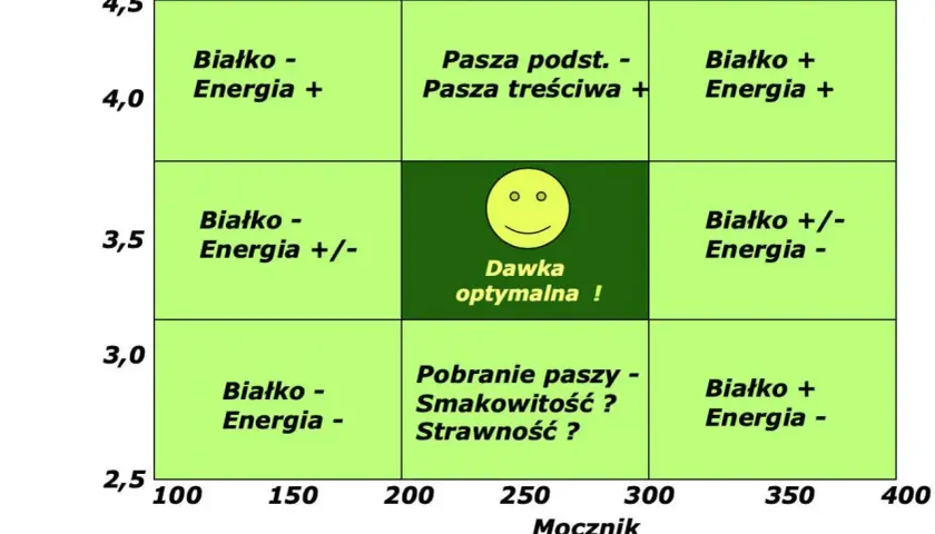 Tabela przedstawia przykładowe dawki pokarmowe dla krów mlecznych, uwzględniając białko, energię i mocznik.