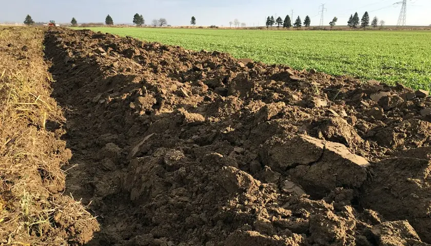 Orne, świeżo zaorane pole z widocznymi resztkami pożniwnymi i zielonymi oziminami w tle. Traktor w oddali.
