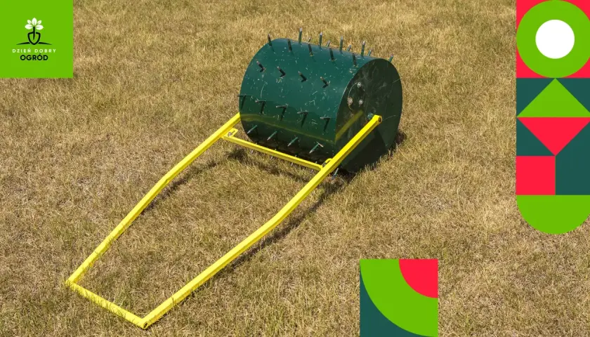 Wałek kolczasty do aeracji trawnika, niezbędny do regeneracji trawnika i jego zdrowego wzrostu.
