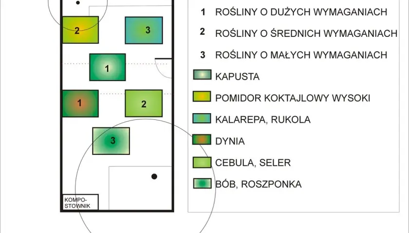 Schemat płodozmianu na rok III: pola z roślinami o dużych (1), średnich (2) i małych (3) wymaganiach, w tym kapusta, pomidor, dynia.