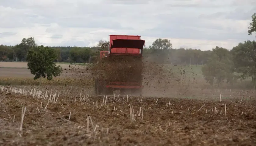 Rozrzutnik rozsypuje obornik na polu. Nawożenie obornikiem można stosować bezpośrednio przed uprawą, przygotowując ziemię na nowy sezon.