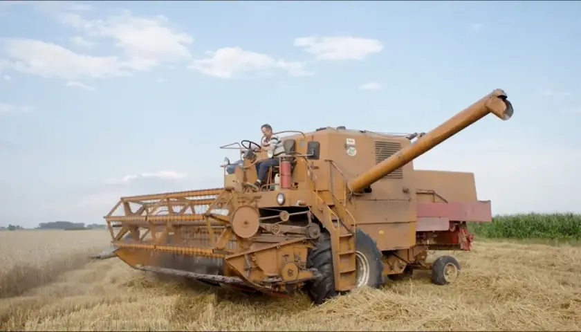 Kombajn Bizon Z056 w akcji, pokazujący swoją wydajność podczas żniw. Kierowca steruje maszyną na polu.