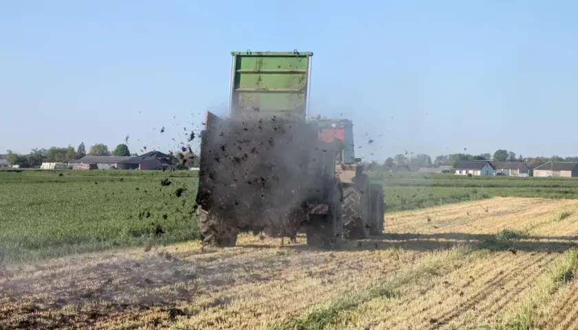 Traktor z przyczepą rozsypuje obornik na polu. To ważny termin wywozu obornika, przygotowujący ziemię do kolejnych upraw.