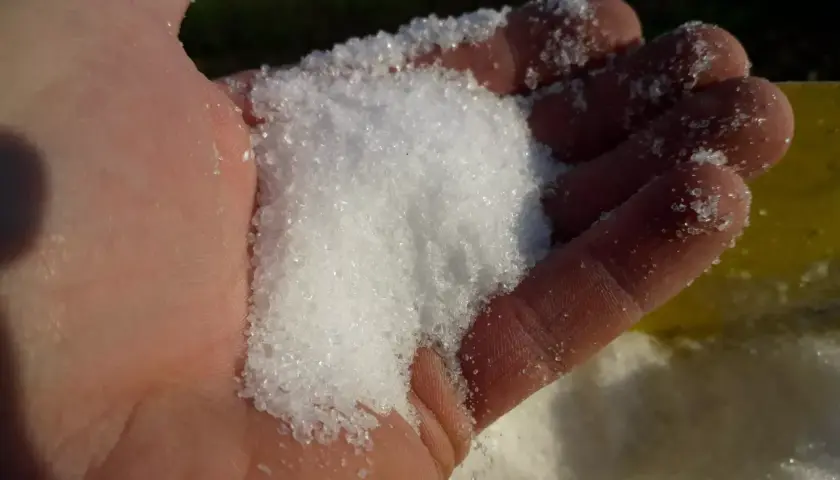 Biały, krystaliczny proszek w dłoni. To siarczan magnezu, który warto stosować, gdy rośliny potrzebują magnezu.