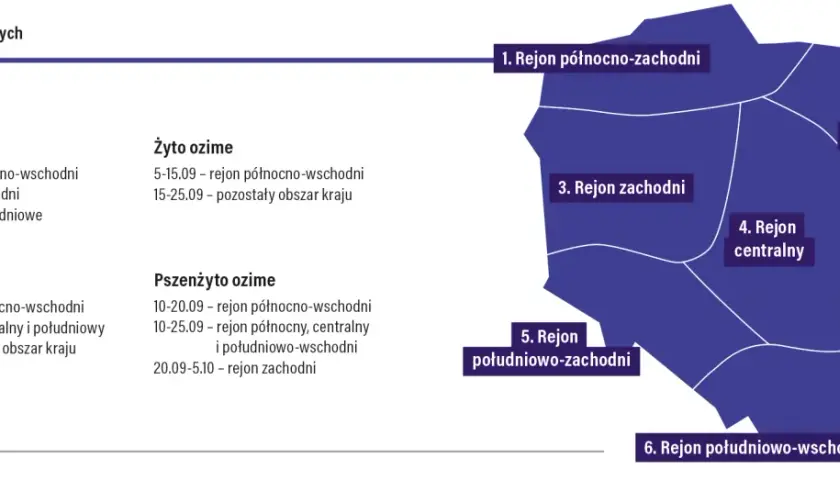 Kiedy siać żyto? W północno-wschodniej Polsce od 5 do 15 września, a w pozostałych regionach od 15 do 25 września.