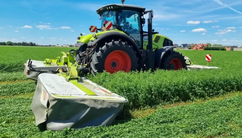 Traktor z kosiarką pracuje na polu lucerny. Rolnik zastanawia się, ile nasion lucerny na hektar będzie potrzebne do zasiewu.