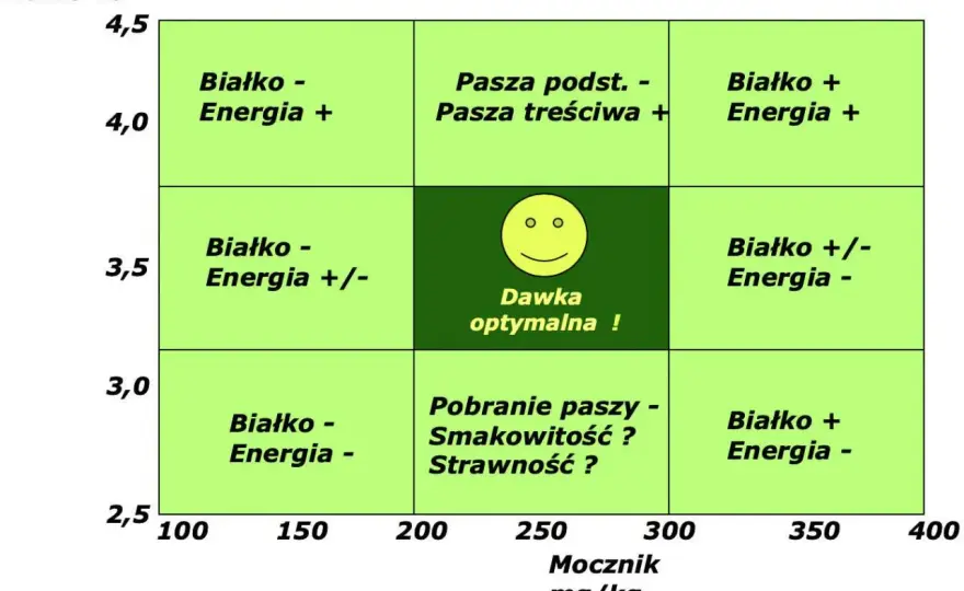 Dawki pokarmowe dla krów mlecznych - jak je ułożyć dobrze?
