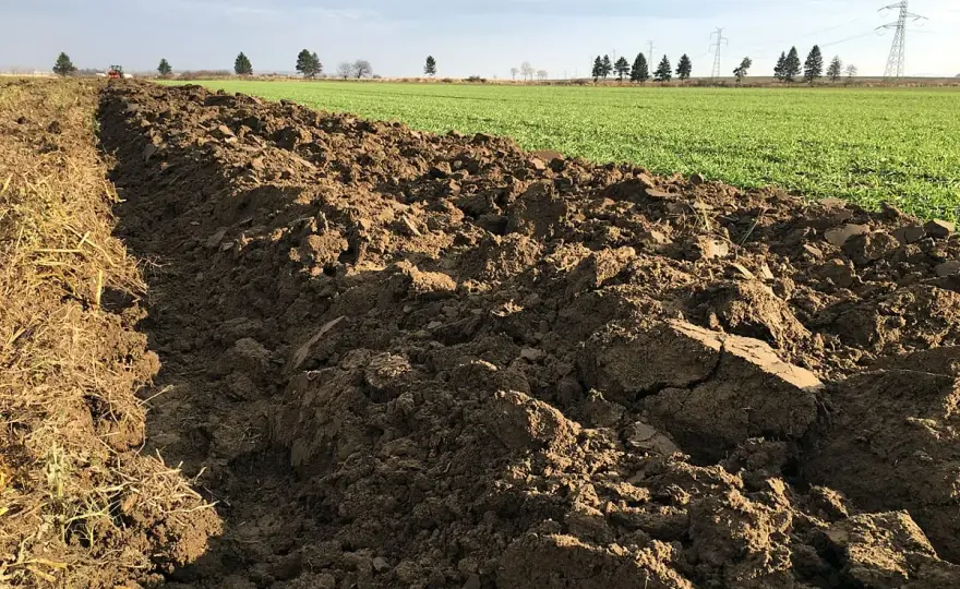 Resztki pożniwne na polu - jak je dobrze zagospodarować?