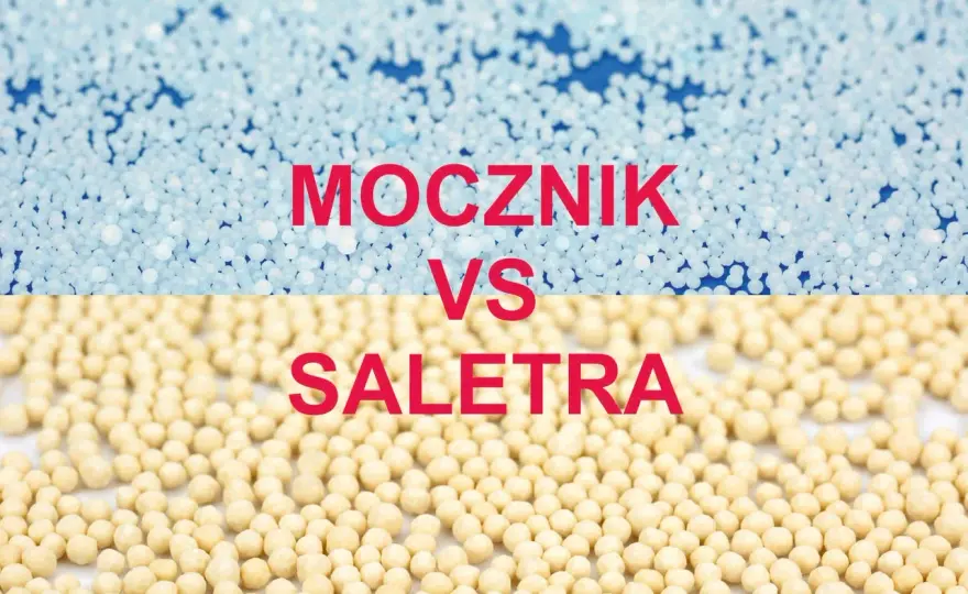 Mocznik w nawożeniu - kiedy działa najlepiej i jak ograniczyć straty