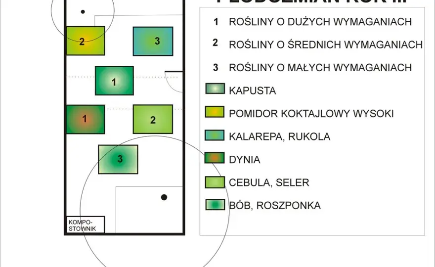 Schemat płodozmianu - jak ułożyć rotację na 4 lub 5 pól
