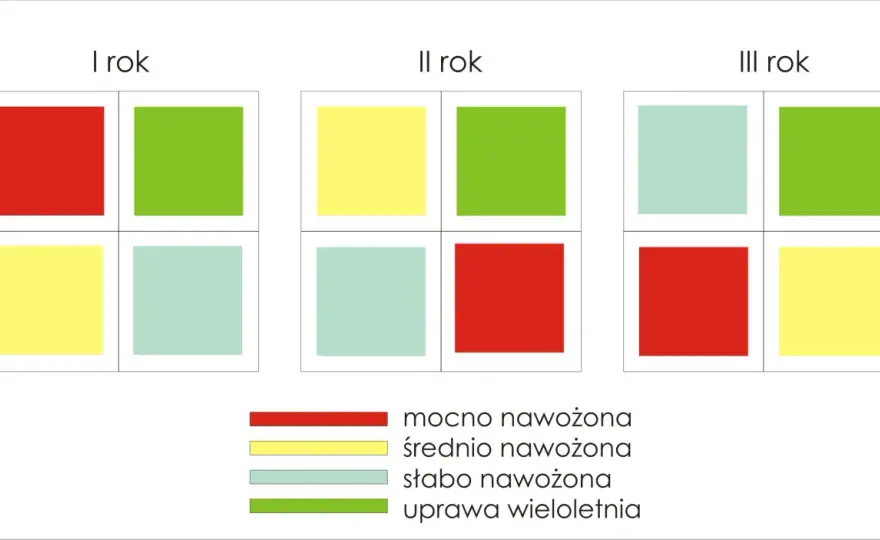 Płodozmian zbożowy - tabela i zasady dobrego zmianowania