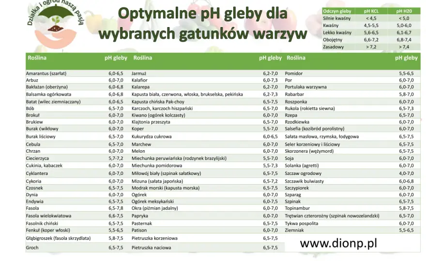 Tabela pH gleby dla zbóż - jaki odczyn pasuje do każdego gatunku?
