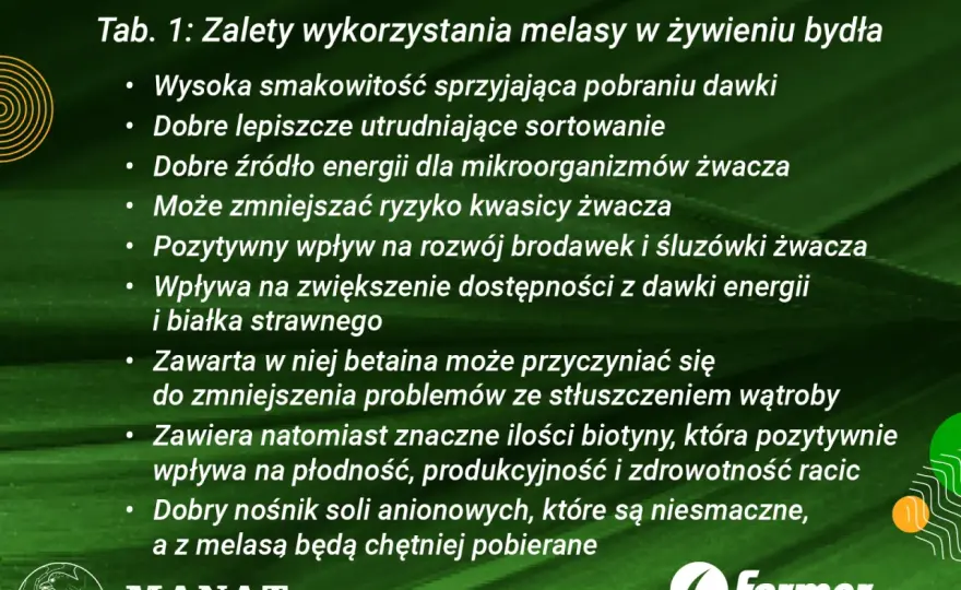 Melasa dla bydła - kiedy pomaga, a kiedy szkodzi?