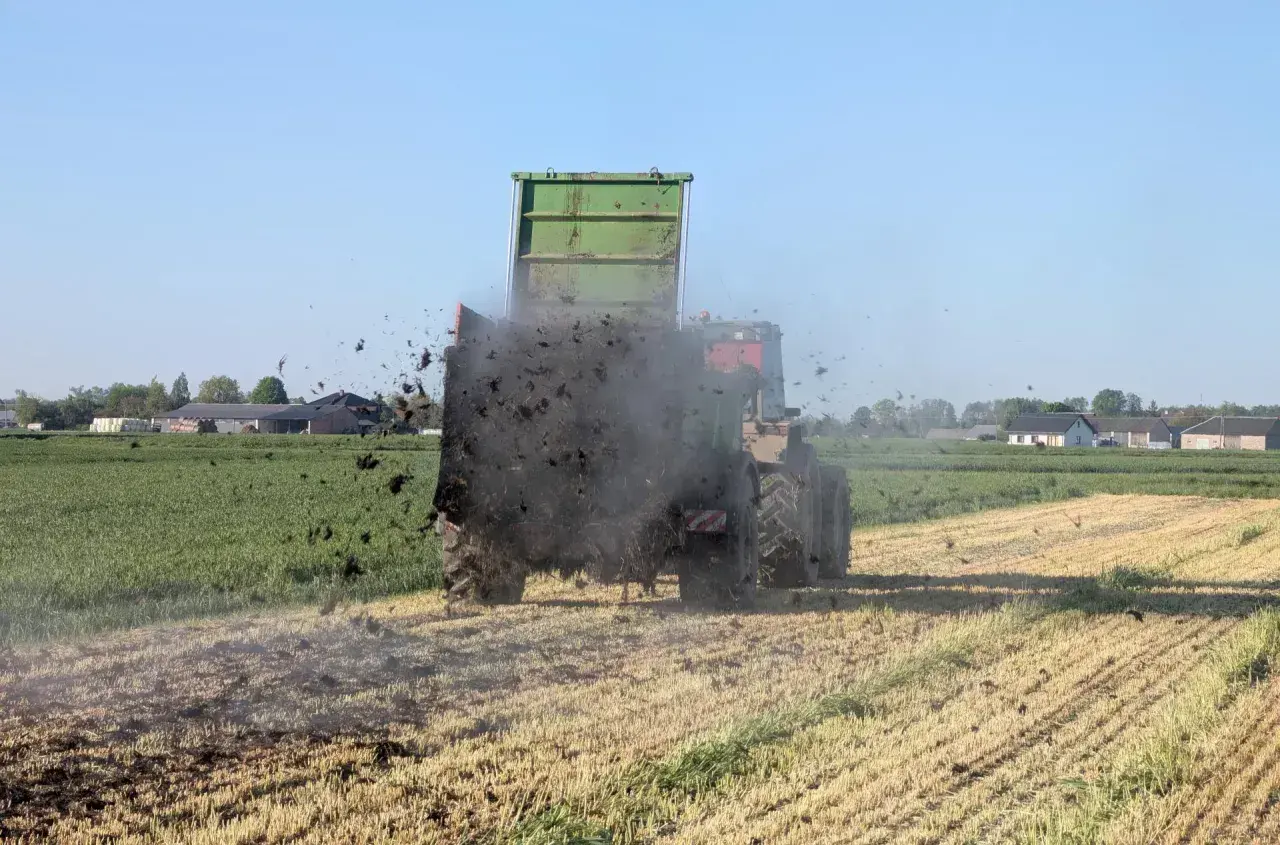 Traktor z przyczepą rozsypuje obornik na polu. To ważny termin wywozu obornika, przygotowujący ziemię do kolejnych upraw.