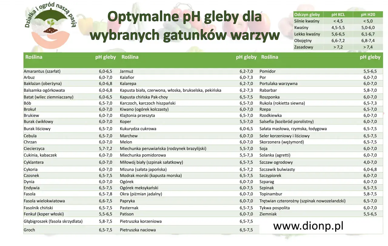 Tabela pH gleby dla zbóż i warzyw. Znajdziesz tu optymalne pH gleby dla wielu gatunków roślin, np. pomidora, cebuli czy grochu.