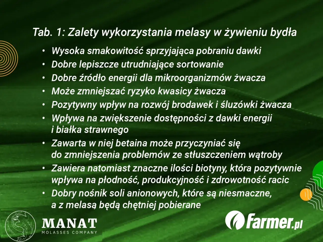 Zalety melasy dla bydła: poprawia smakowitość paszy, jest źródłem energii, wspiera zdrowie żwacza i wątroby.