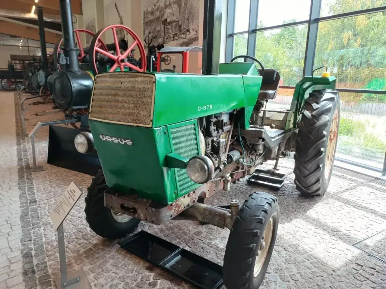Zielony traktor Ursus seria U, model C-375, prezentowany w muzeum.