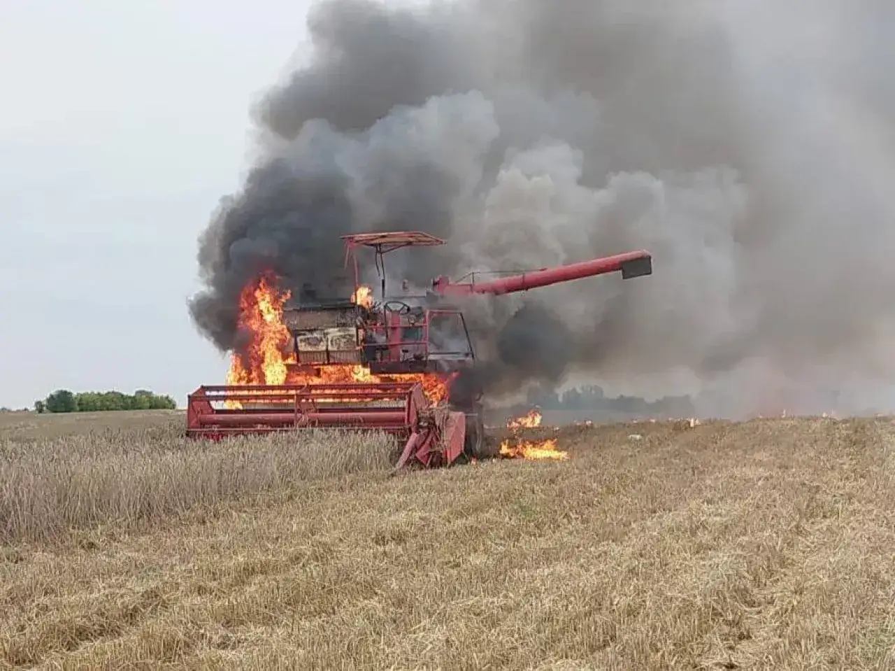 Płonący kombajn w polu zboża. Intensywny pożar kombajnu pochłania maszynę, wydobywając się z niej gęsty, czarny dym.