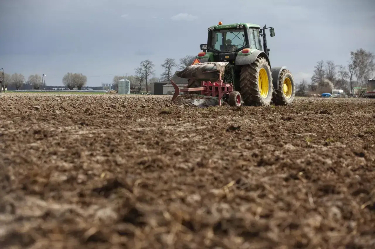 Zielony traktor z pługiem orze pole. Nawożenie obornikiem można stosować bezpośrednio przed uprawą, przygotowując ziemię pod nowe rośliny.